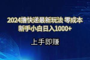 （11680期）2024撸快递最新玩法零成本新手小白日入1000+