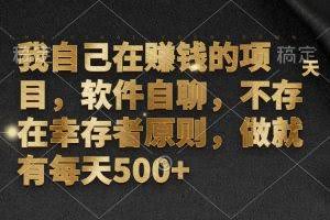 （12956期）我自己在赚钱的项目，软件自聊，不存在幸存者原则，做就有每天500+