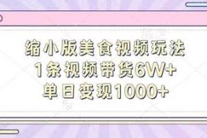 缩小版美食视频玩法，1条视频带货6W+，单日变现1k