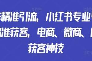 矩阵精准引流，小红书专业号矩阵精准获客，电商、微商、门店获客神技