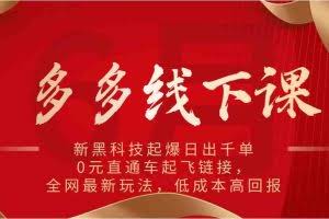多多线下课：新黑科技起爆日出千单，0元直通车起飞链接，全网最新玩法，低成本高回报