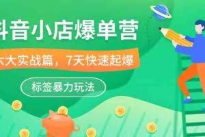 抖音小店爆单营，6大实战篇，7天快速起爆，标签暴力玩法（41节课）