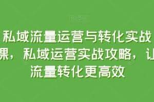 私域流量运营与转化实战课，私域运营实战攻略，让流量转化更高效