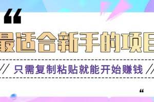 2024最适合新手操作的项目，新手小白只需复制粘贴就能开始赚钱【视频教程+软件】