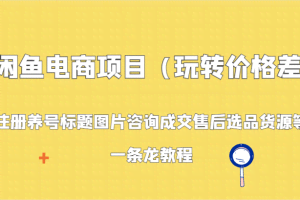 闲鱼电商项目（玩转价格差）：注册养号标题图片咨询成交售后选品货源等，一条龙教程