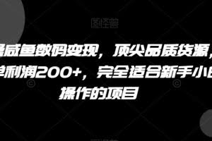 实操咸鱼数码变现，顶尖品质货源，一单利润200+，完全适合新手小白操作的项目【揭秘】