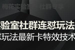 梅花实验室社群连怼玩法第五期，视频号连怼玩法最新卡特效技术