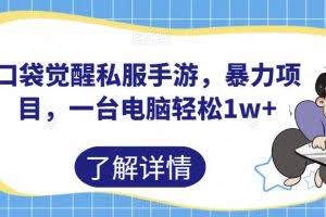 口袋觉醒私服手游，暴力项目，一台电脑轻松1w+【揭秘】