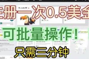 国外项目注册一次0.5美金，只需三分钟无脑操作，可批量同时放大操作，小白工作室福利【揭秘】