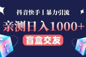 亲测日收益1000+的交友盲盒副业丨有手就行的抖音快手暴力引流