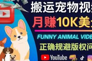 搬运TIKTOK视频到YouTube，并进行二次创作，月赚1万美元以上