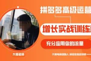 拼多多高级运营增长实战训练营，充分应用你的流量（拼多多2980元付费课程）