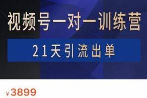 花爷×Alan×figo视频号训练营，带货，涨粉，直播，游戏，四大变现新方向，21天引流出单