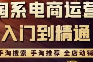 淘系电商入门到精通手淘搜索，手淘推荐，全店动销（价值1099元）