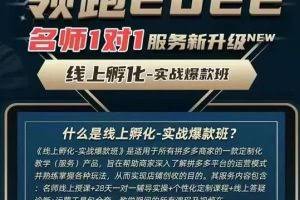 牛气学堂老陶电商【第9期】，拼多多名师线上领跑28天，线上孵化-实战爆款班