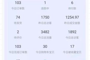 绅白不白100%起店网红店第三期，每个月操作6天就可以起店赚钱，日入500+