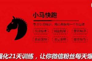 小马快跑引流培训高级课：教你被动引流日均100+精准客户，让你微信粉丝每天爆满