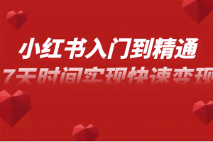 小红书入门到精通课，无货源电商实操运营，7天时间实现快速变现
