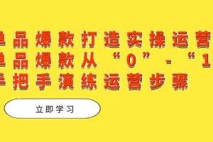 单品爆款打造实操运营，单品爆款从“0”-“1”手把手演练运营步骤