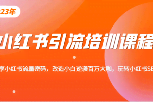 小红书引流培训课程，教你零基础玩转小红书，素人逆袭百万流量大咖！