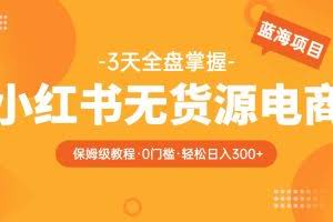 2023小红书无货源电商保姆级教程，从0到日入300，爆单3W