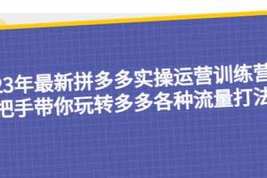 23年最新拼多多实操运营训练营：手把手带你玩转多多各种流量打法