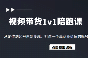 视频带货1v1陪跑课，从定位到起号再到变现，打造一个高商业价值的账号