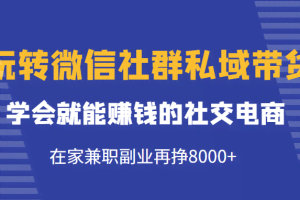 玩转微信社群私域带货，学会就能赚钱的社交电商，在家兼职副业再挣8000+