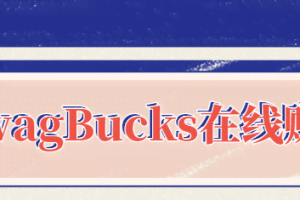 SwagBucks在线赚钱项目，做调查看视频一天赚500美元赚钱的简单方法【视频教程】