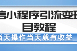 微信小程序引流变现项目教程，当天操作当天就有收益，变现不再是难事【无水印】