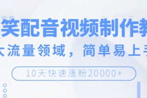 搞笑配音视频制作教程，大流量领域，简单易上手，快速涨粉20000+【无水印】