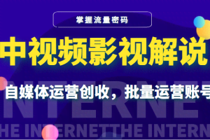 中视频影视解说—掌握流量密码，自媒体运营创收，批量运营账号