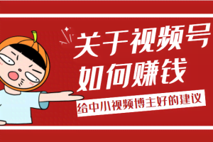 某公众号付费文章：关于视频号如何赚钱，给中小视频博主好的建议！（无水印）