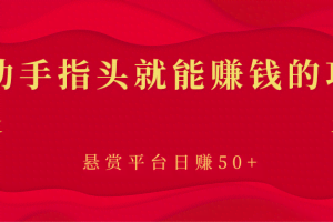 动动手指头就能赚钱的项目，悬赏平台日赚50+