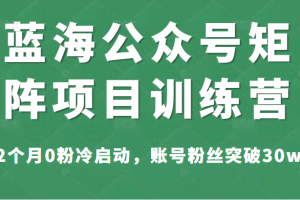 蓝海公众号矩阵项目训练营，2个月0粉冷启动，账号粉丝突破30w，价值1800元