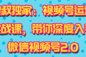视频号运营实战课2.0，目前市面上最新最全玩法，快速吸粉吸金（10节视频）