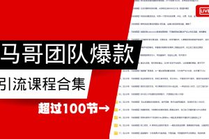 马哥团队【122节】最全项目爆款引流课程合集【持续更新】