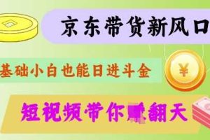 最新京东短视频带货代运营秘籍，轻松躺挣【揭秘】