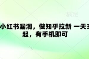 卡小红书漏洞，做知乎拉新 一天3张起，有手机即可