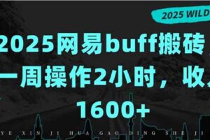 （15666期）2025网易buff搬砖，一周操作2小时，收入1600+