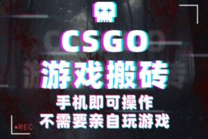 CSGO游戏挂机捡漏，单日扫货500+，年底小高峰上车可吃肉，手机即可操作兼职副业