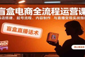 盲盒电商全流程运营课：抖店搭建、起号流程、内容制作与直播变现实战指南