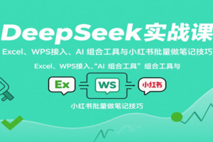 DeepSeek实战课：Excel、WPS接入、AI 组合工具与小红书批量做笔记技巧