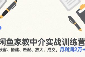 （17379期）闲鱼家教中介实战训练营，获客、搭建、匹配、放大，成交，月利润2万+