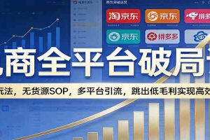 电商全平台破局课：全域玩法，无货源SOP，多平台引流，跳出低毛利实现高效盈利