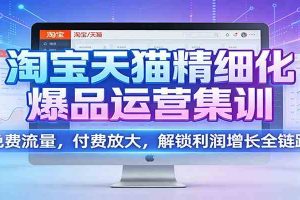淘宝天猫精细化爆品运营集训：免费流量，付费放大，解锁利润增长全链路